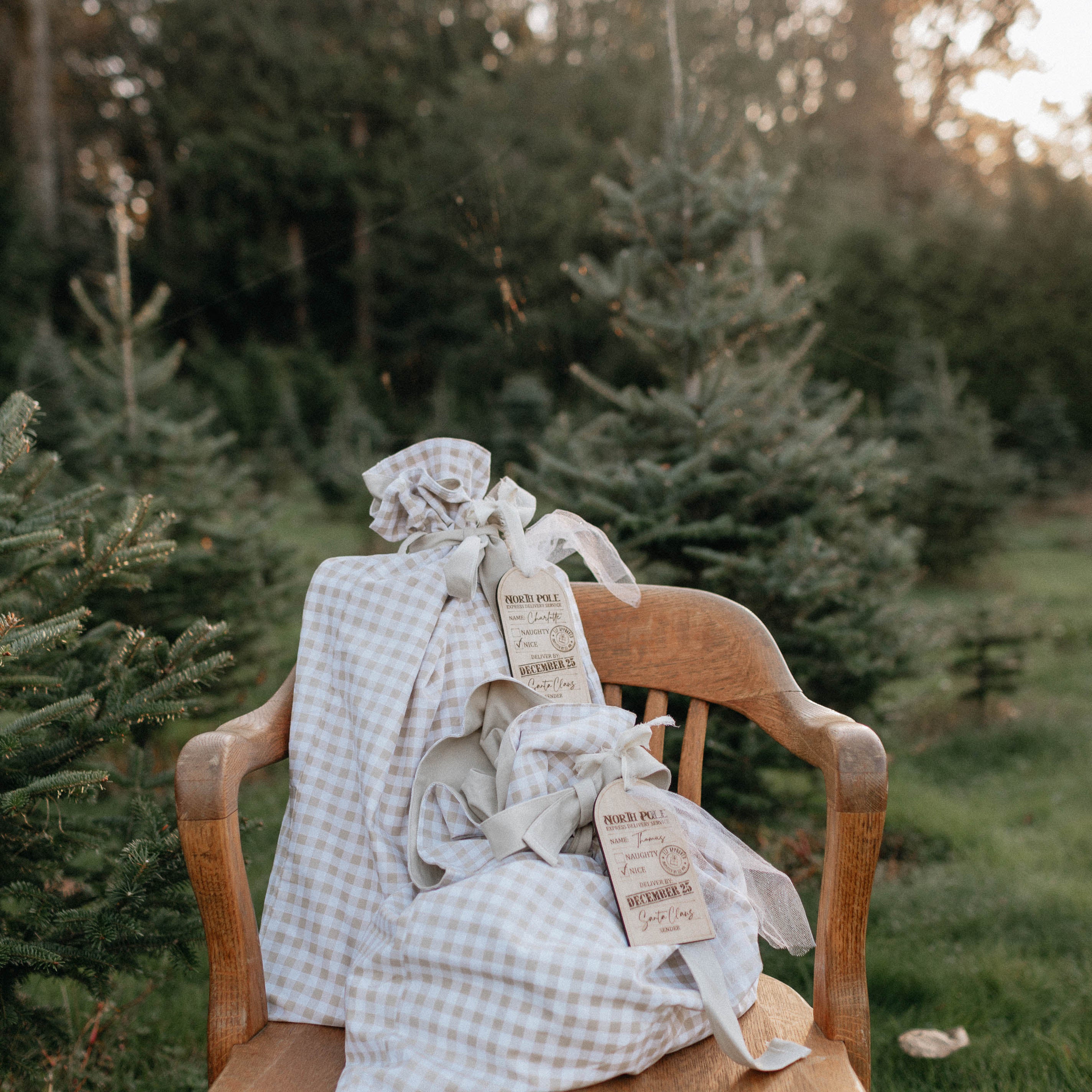 Santa Gift Bags